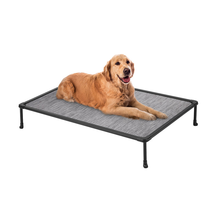 Metal frame shop dog bed